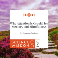 Science & Wisdom LIVE artwork