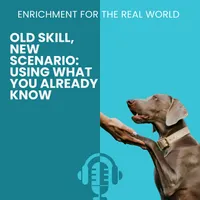 Enrichment for the Real World artwork