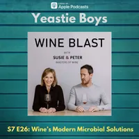 Wine Blast with Susie and Peter artwork
