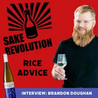 Sake Revolution artwork