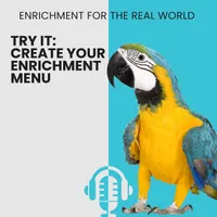 Enrichment for the Real World artwork