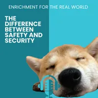 Enrichment for the Real World artwork