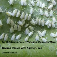 Garden Basics with Farmer Fred artwork