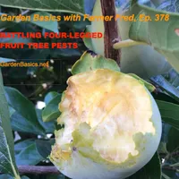 Garden Basics with Farmer Fred artwork