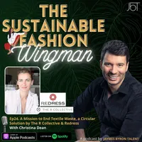 The Sustainable Fashion Wingman artwork