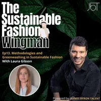 The Sustainable Fashion Wingman artwork