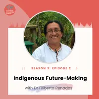 Rethinking Development Podcast artwork