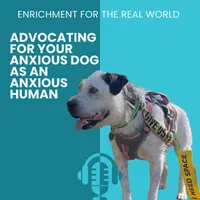 Enrichment for the Real World artwork