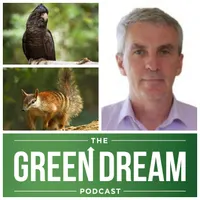 The Green Dream artwork
