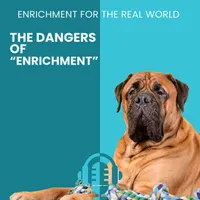 Enrichment for the Real World artwork
