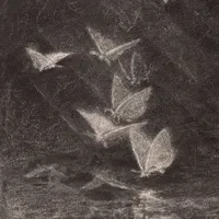 For The Wild artwork
