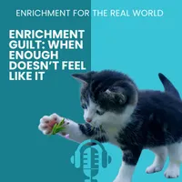 Enrichment for the Real World artwork