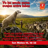 Evangelio del día artwork
