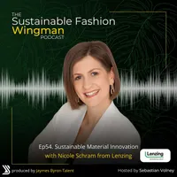 The Sustainable Fashion Wingman artwork