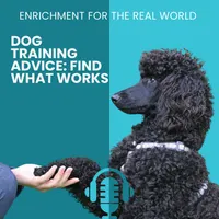 Enrichment for the Real World artwork