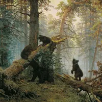 For The Wild artwork