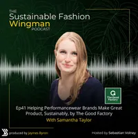 The Sustainable Fashion Wingman artwork