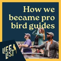 Life List: A Birding Podcast artwork