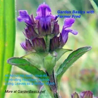 Garden Basics with Farmer Fred artwork