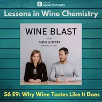 Wine Blast with Susie and Peter artwork