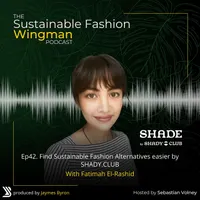 The Sustainable Fashion Wingman artwork