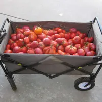 Garden Basics with Farmer Fred artwork