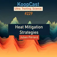 KoopCast artwork