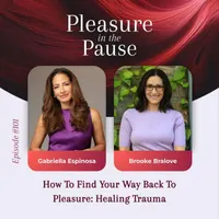 Pleasure in the Pause: Midlife Conversations About Menopause, Sex & Pleasure artwork