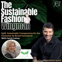 The Sustainable Fashion Wingman artwork