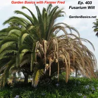Garden Basics with Farmer Fred artwork