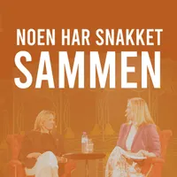 Noen har snakket sammen artwork