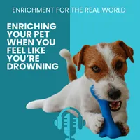 Enrichment for the Real World artwork