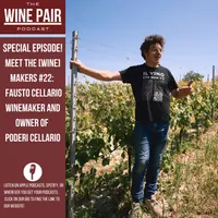The Wine Pair Podcast artwork