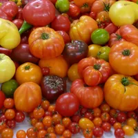 Garden Basics with Farmer Fred artwork
