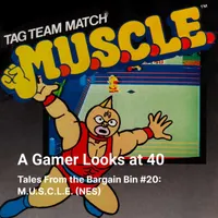 A Gamer Looks At 40 artwork