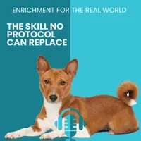 Enrichment for the Real World artwork