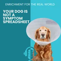 Enrichment for the Real World artwork