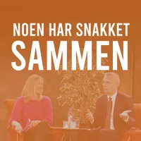 Noen har snakket sammen artwork