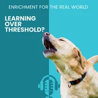 Enrichment for the Real World artwork