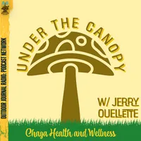 Under the Canopy artwork