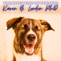 The Bitey End of the Dog artwork