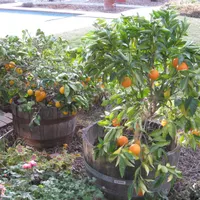 Garden Basics with Farmer Fred artwork