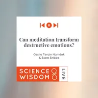 Science & Wisdom LIVE artwork