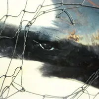 For The Wild artwork