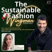 The Sustainable Fashion Wingman artwork