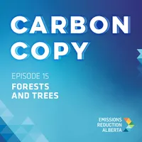 Carbon Copy artwork