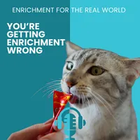 Enrichment for the Real World artwork