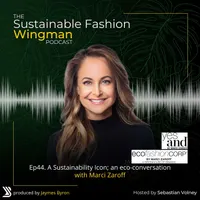 The Sustainable Fashion Wingman artwork