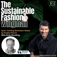 The Sustainable Fashion Wingman artwork