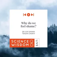 Science & Wisdom LIVE artwork